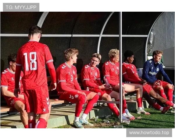 法国3-2力克丹麦 特尔梅林建功助球队晋级欧青U21半决赛